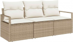 Rantry 3-teiliges Garten Sofa Set mit Kissen Beige Poly Rattan, 2-Sitzer Garten Sofa mit Stauraum & Kissen Beige Poly Rattan Gartenlounge Model3354910