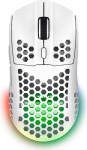 Trust Gaming GXT 928 Helox Kabellose Gaming Maus, Ultraleichte Maus 75g, 80h Dauerbetrieb, 2,4-GHz-Mikro-USB-Empf&auml;nger, Einstellbare DPI (800-4800), 6 Programmierbare Tasten, Gaming PC MMO - valge