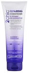 GIOVANNI 2chic kahjustatud juuste palsam, 250 ml