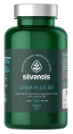 SILVANOLS Gaba Plus B6, 90 kapsli komplekt