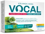 VOCAL pastillid piparm&uuml;ndi ja C-vitamiiniga, 24 tk. Ha Mint