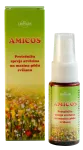 AMICOS naha desinfitseerimislahus 20 ml