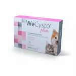 WeCysto Plus tabletid tootjalt WEPHARM, 30 tk - p&otilde;ie tugi koertele ja kassidele