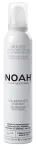 NOAH 5.8 Tugeva hoiakuga juuksevaht, 250 ml