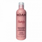 Anti-Frizz Conditioner