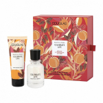 BEAUTIFUL STORIES Celebrate Life Set