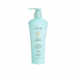 Phyto Balance Purity Aha/Bha Shampoo