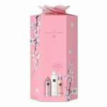 Sakura Iconic Bestseller Set