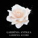 Prive Gardenia Antigua