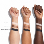 Chromaplus Eyeshadow Trio