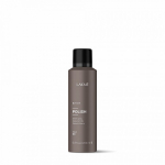 K.Finish Polish Sheen Spray