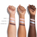 Chromaplus Eyeshadow Trio