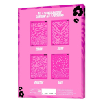 Animal Print Stencils Kit