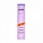 Big Hit Volumizing Conditioner