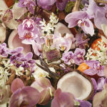 &Eacute;pisode Romantique Orchid&eacute;e Sublime