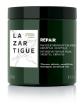 Repair Mask