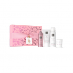 The Ritual Of Sakura - Small Gift Set