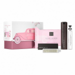 Car Gift Set Sakura
