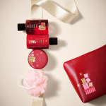 Seasonal Winter Wonder Shower Essentials