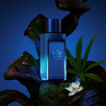 The Icon Supreme Eau De Parfum Intense
