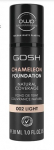Chameleon Foundation
