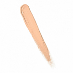 Fit Me Concealer