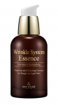 Wrinkle System Essence