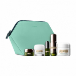 The Vibrance Renewal Collection