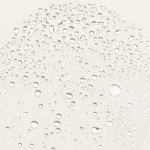 Dewy Setting Spray