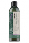 Imagea Essential Shampoo