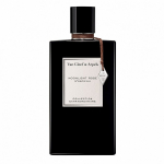 Collection Extraordinaire Moonlight Rose