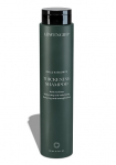 Build & Bounce - Thickening Shampoo