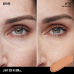 Barepro All Over Skin Perfecting Concealer