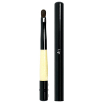 Retractable Lip Brush