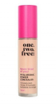Hyaluronic Power Concealer