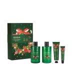 Seasonal Charming Winter Luxury Booklet Set