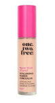 Hyaluronic Power Concealer