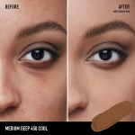 Barepro All Over Skin Perfecting Concealer