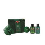 Seasonal Charming Winter Shower Essentials