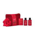 Seasonal Charming Winter Bath Essentials
