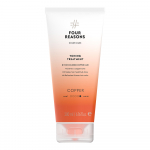 Color Mask Toning Treatment Copper
