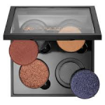 Generic 4 - Well Empty Plastic Palette