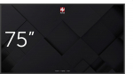 Avtek Information monitor DS 75 inch