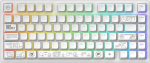 Dark Project ALU81A Terra Nova White, G3MS Moonstone Switch, RU