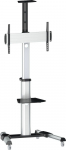 Inline Stojak podłogowy 23170A 37'' - 70''