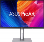 Asus Monitor Asus ProArt PA248QFV (90LM05K1-B01K71)