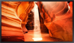 Samsung Professional display OM55N-S 55 inch glossy 24h/7 4000(cd/m2) 1920x1080 (FHD) S6 Player (Tizen 4.0) Wi-Fi 3 years On-Site (LH55OMNESGBXEN)