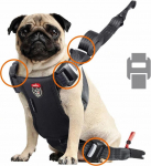 Zolux Travel Safe S red - dog harness