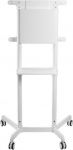Neomounts NS-M1250 WHITE floor stand 37-70'' 70KG 200x200-600x400