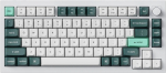 Keychron Klawiatura Keychron Q1 HE QMK Gateron Double-Rail Magnetic Nebula (Q1H-P1)